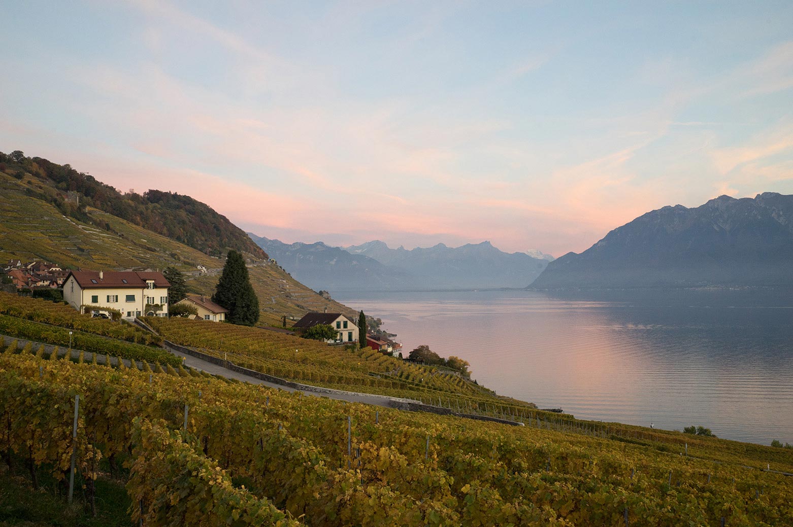 Overlook of vinyards, lake Lake Geneva, and snow covered mountains